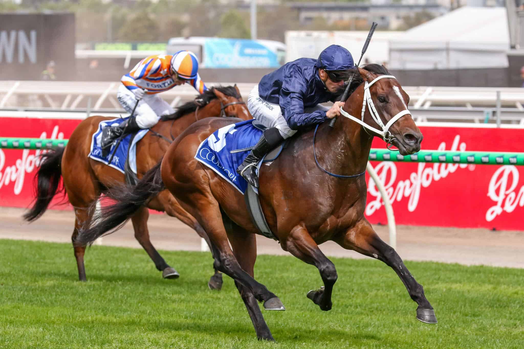 2025 Black Caviar Lightning Stakes Tips, Preview & Betting Strategy