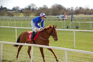 2025 Newmarket 1000 Guineas Ante-Post Tip