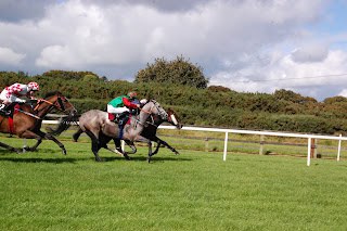 2025 Newmarket Craven Meeting Tuesday Tips
