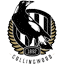 AFL Round 7 Betting Tips - Australia Sports Betting