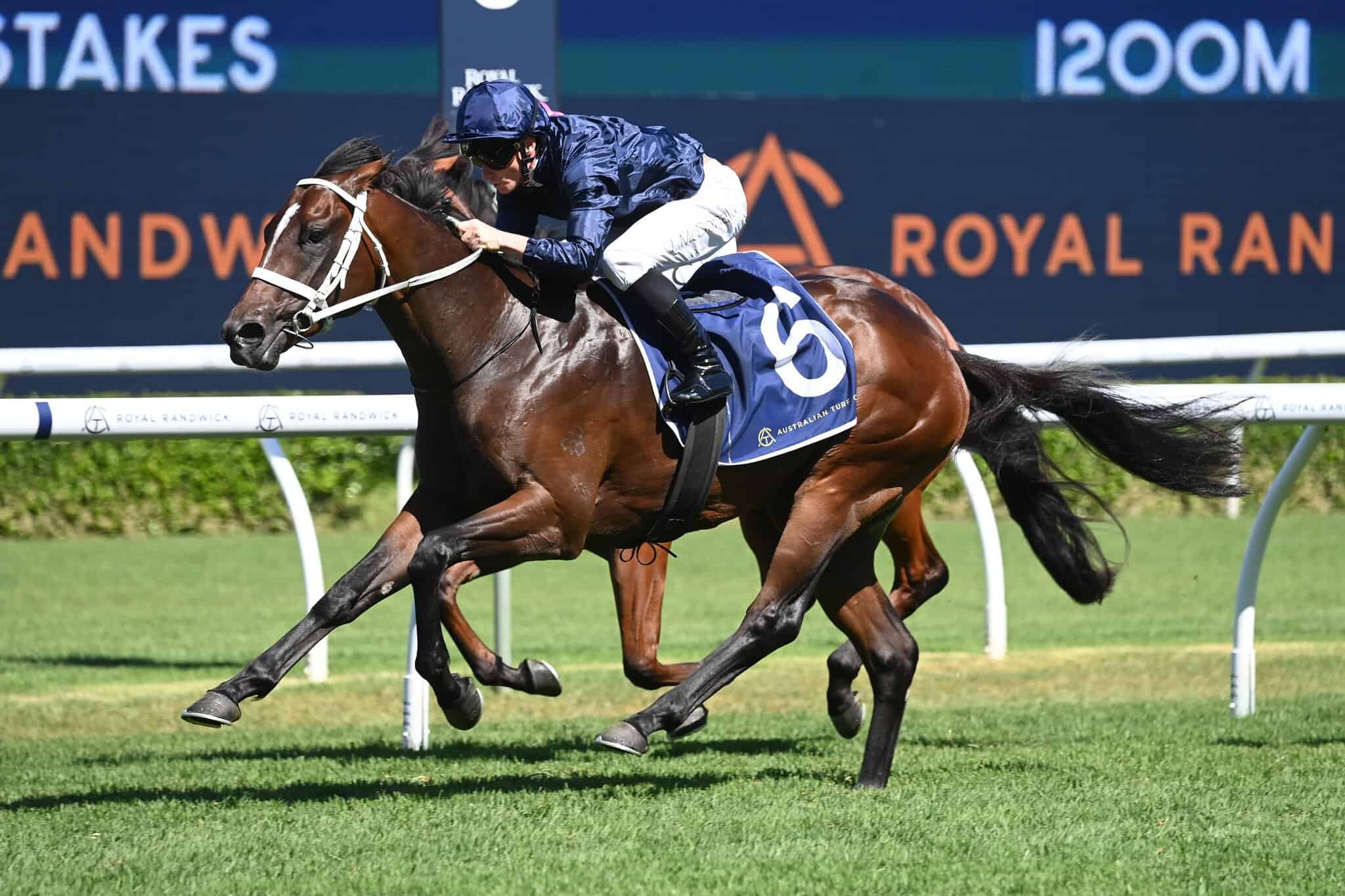 Black Caviar Lightning Stakes Day 2025 – Free Tips and Best Bets