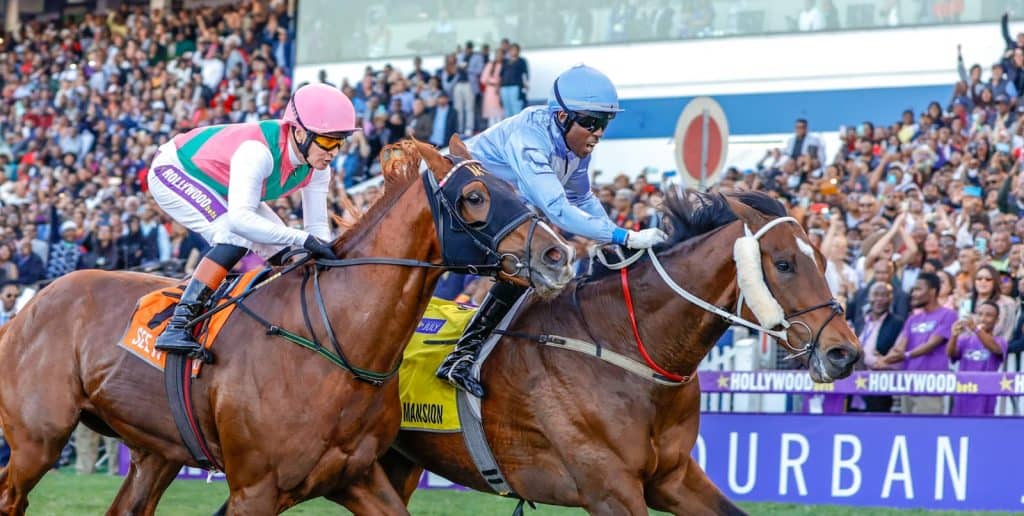 Hollywoodbets Durban July 2024 Betting Tips & Predictions - Best Sports Betting