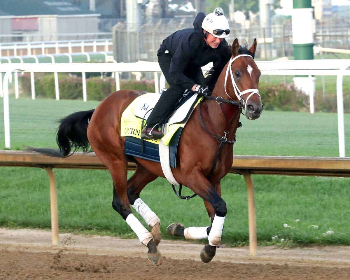 Kentucky Derby preview 2025: Odds, analysis and five picks to play in this Saturday’s big race | amNewYork