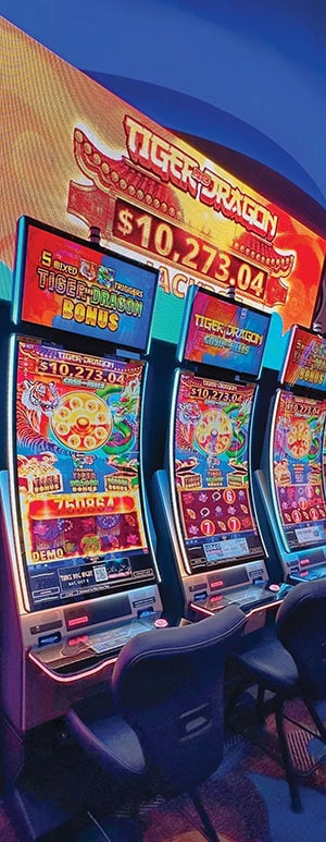 TIGERS, DRAGONS AND JACKPOTS