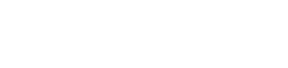 Fanduel NY Promo Logo