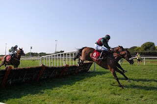 2025 Grand National Ante-Post Tip