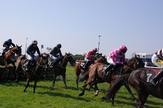 2025 Naas Lawlor’s Meeting Preview