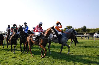 2025 Triumph Hurdle Cheltenham Ante-Post Tip