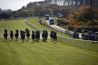 2025 York Dante Meeting Wednesday Preview