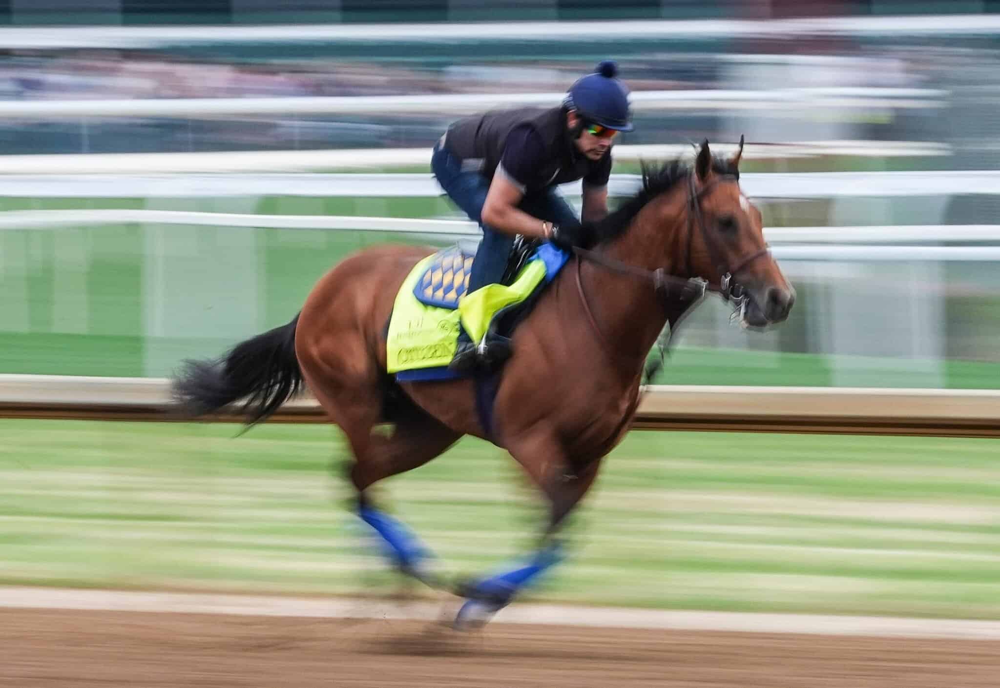 Best Bets for Kentucky Derby: Picks for Win, Place & Show (2025)
