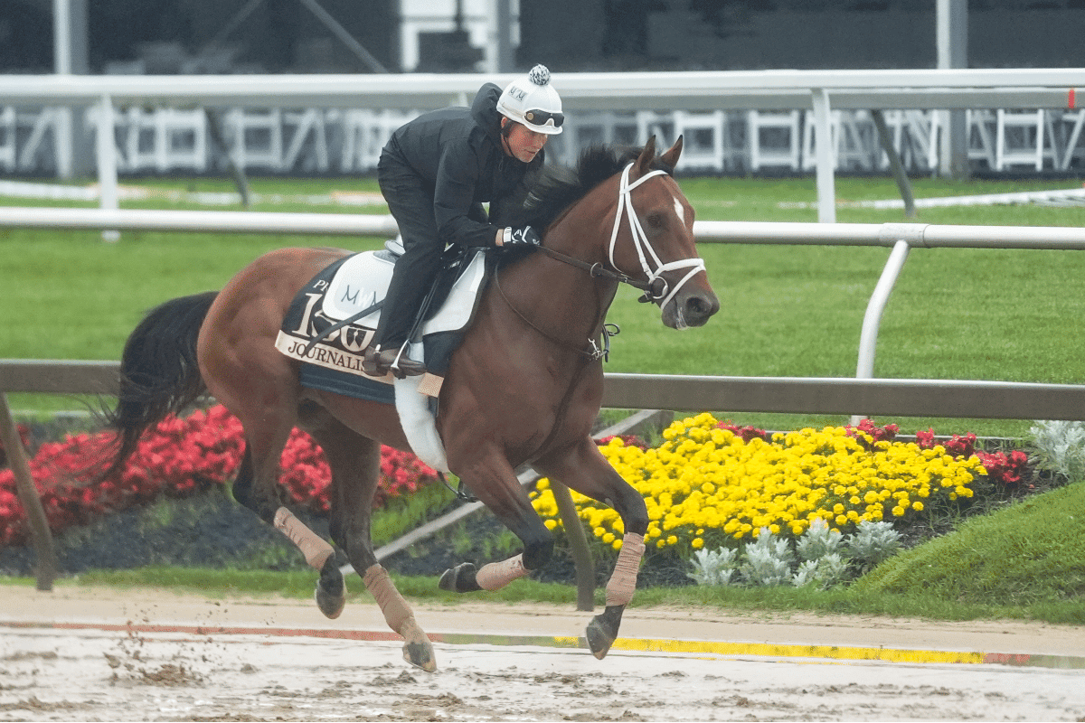 How to Bet on Preakness: $750 in Racebook App Promos, Schedule & Odds for Run for the Black-Eyed Susans