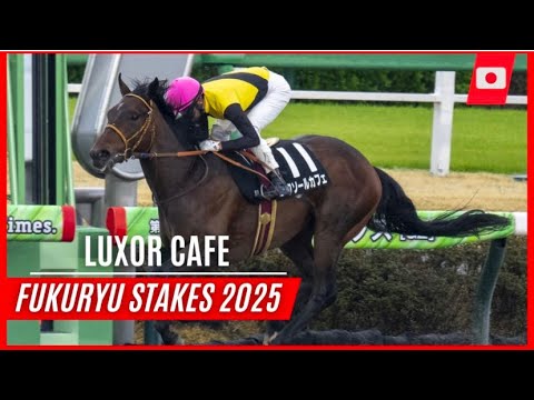 Odds for Kentucky Derby & Expert Picks, Predictions for 2025