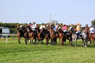 Spirits Could Go Well At Newbury
