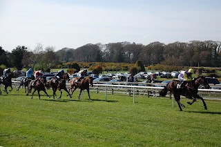 2025 Epsom Derby & Oaks Ante-Post Tips