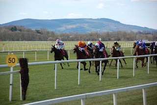 2025 Royal Ascot Ante-Post E/W Lucky 15