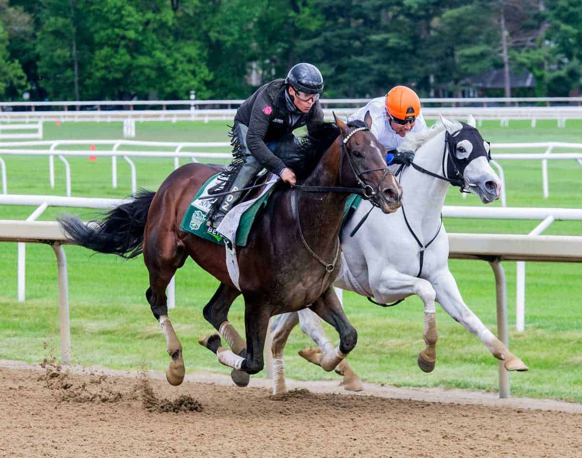 Belmont Stakes preview 2025: Odds and three top picks