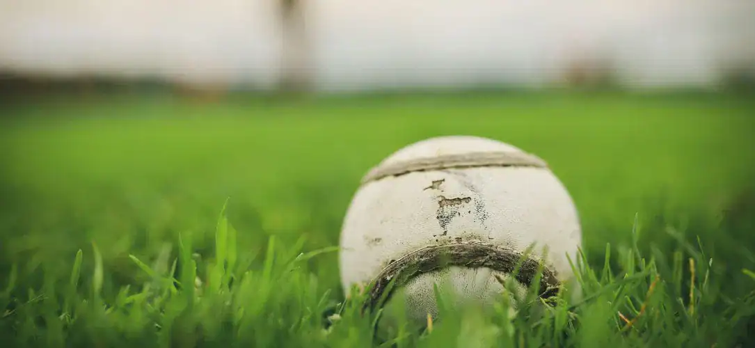 GAA Hurling: Best bets for the All-Ireland SHC quarter-finals
