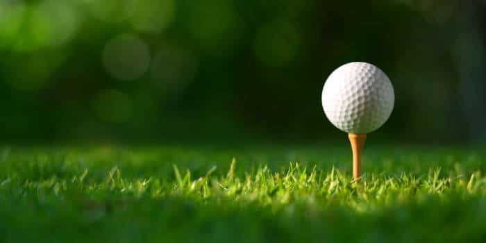 Nevada Regulator Voids Two Bettors’ $80K in Golf Bets Over Sportsbook Odds Error