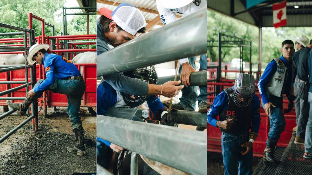 New York Mavericks gear up for a new season of professional bull riding at UBS Arena this fall 6