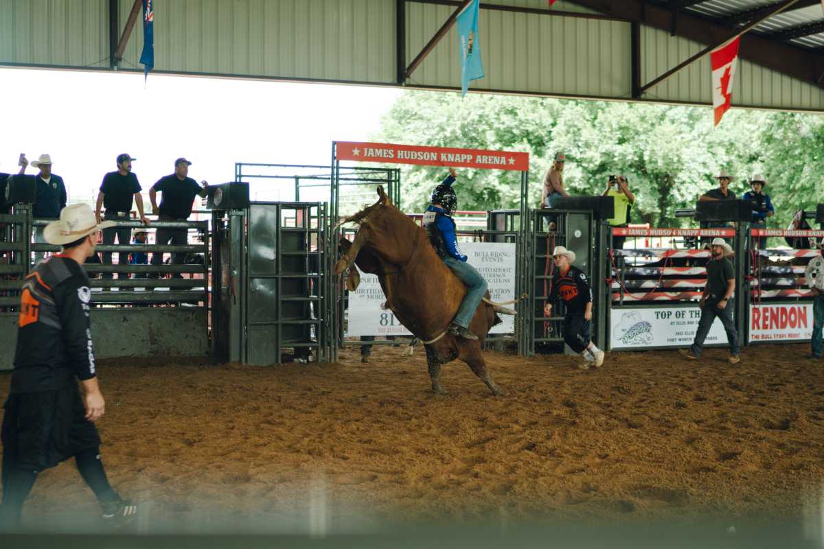 New York Mavericks gear up for a new season of professional bull riding at UBS Arena this fall 7 a bull rider for the New York Mavericks rides a bull in a practice pen