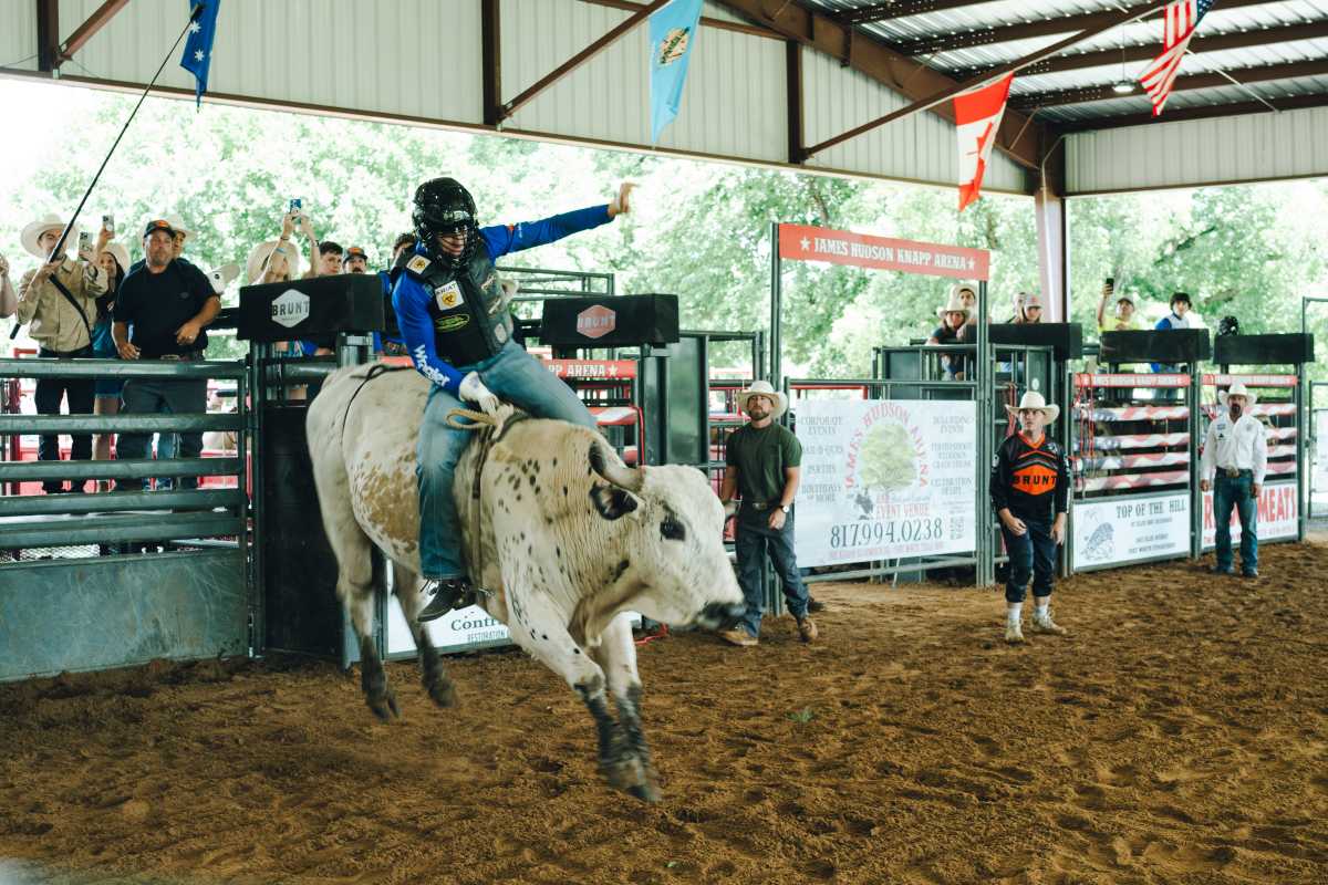 New York Mavericks gear up for a new season of professional bull riding at UBS Arena this fall 8 a bull rider for the New York Mavericks rides a bull in a practice pen