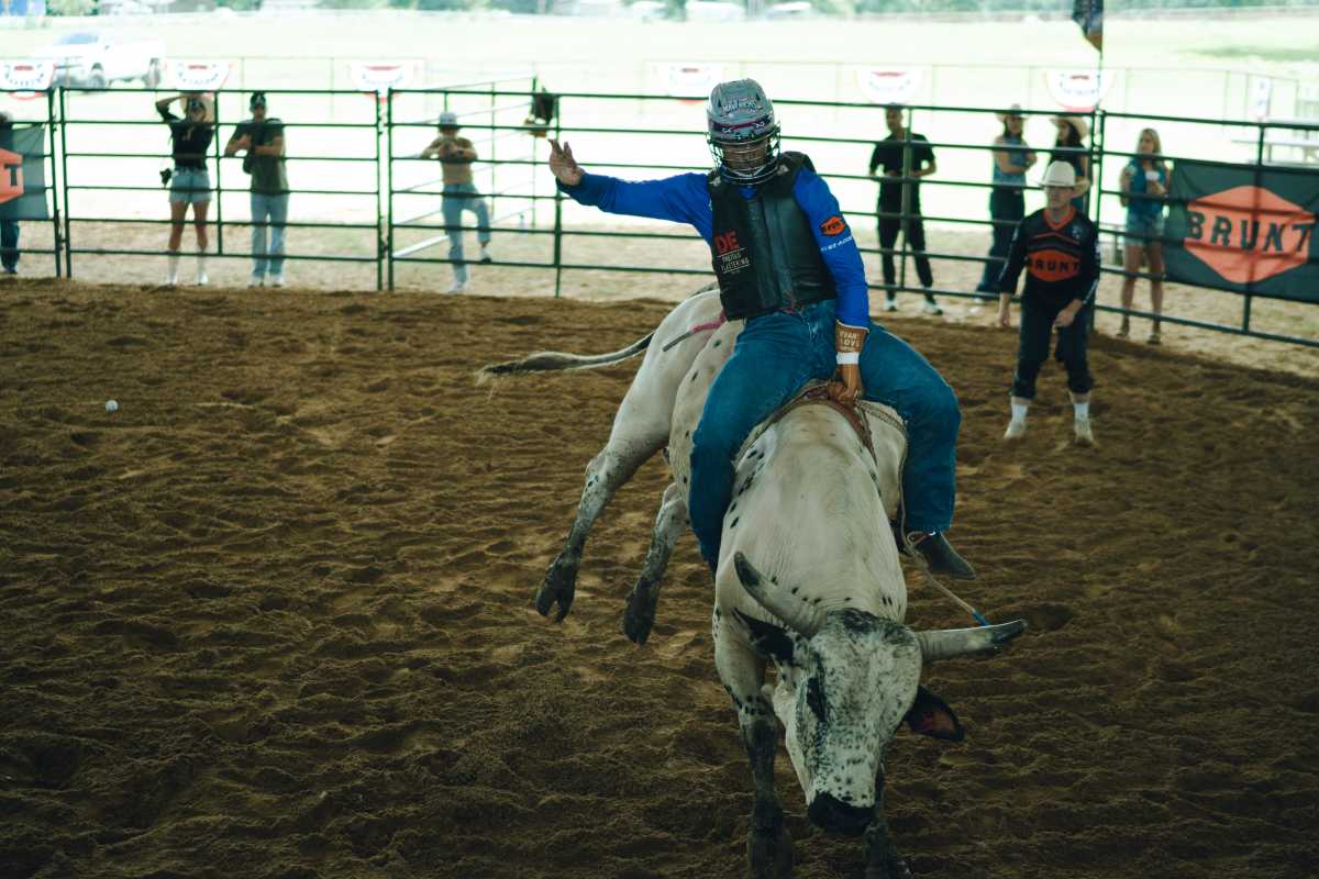 New York Mavericks gear up for a new season of professional bull riding at UBS Arena this fall 9 a bull rider for the New York Mavericks rides a bull in a practice pen