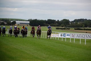 2025 Glorious Goodwood Friday Tips