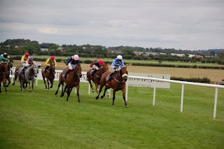 2025 Newmarket July Meeting Thursday Tip