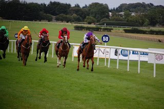 Daylight Could Shine At Deauville