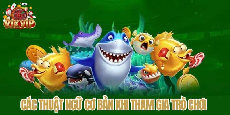 cac-luu-y-quan-trong-khi-tham-gia-tro-choi