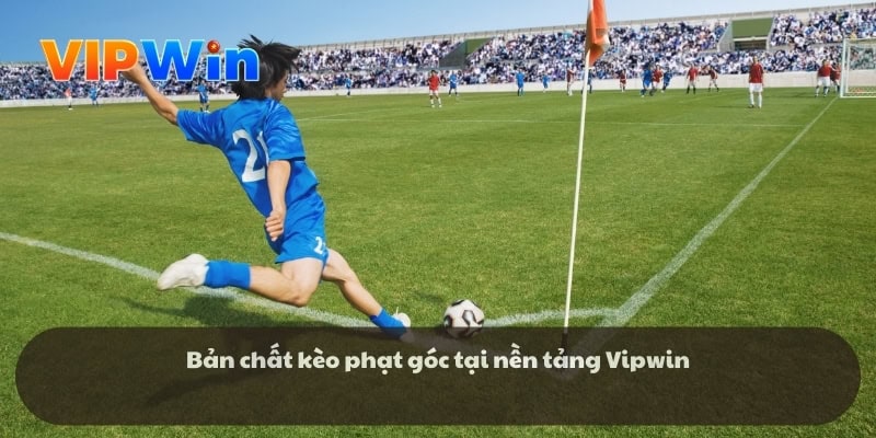 Các loại kèo phổ biến trong vipwin – Bí quyết chơi thông minh - SolutionTipster