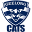 AFL Grand Final Betting Tips - Geelong vs. Brisbane - Australia Sports Betting