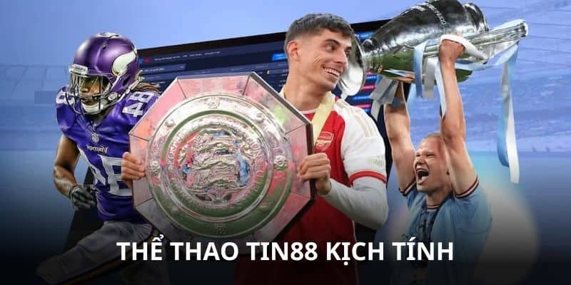 so-sanh-the-thao-tin88-voi-cac-trang-ca-cuoc-khac