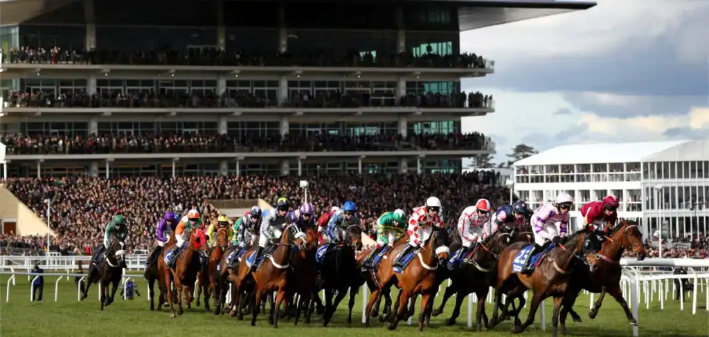 10 horses to watch for the 2025/26 National Hunt season