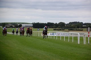 2025 Champions Day E/W Lucky 15