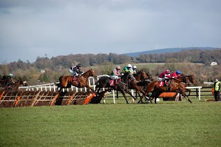2025 Cheltenham Showcase Meeting Friday Tips