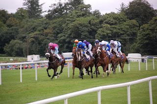 2025 Newmarket Friday Preview