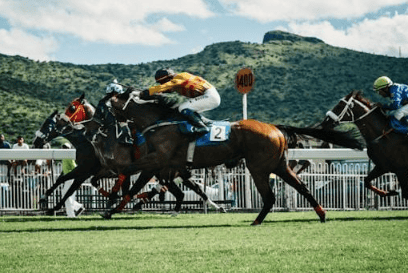 Breeders' Cup Favorites to Impress in 2025