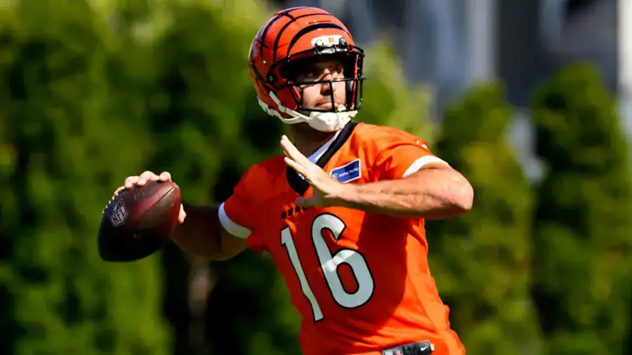 Joe Flacco, Bengals