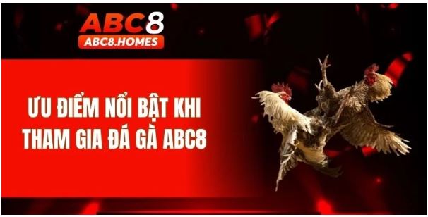 Đá gà Abc8 – Cảm xúc bùng nổ trong từng cú vung cựa