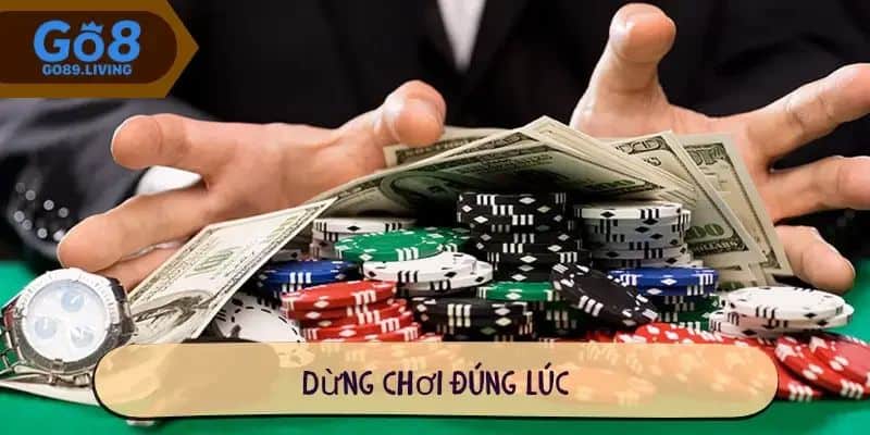 cach-thiet-lap-ngan-sach-choi-go8-an-toan-va-khoa-hoc