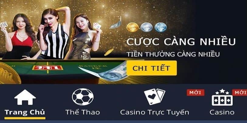 Thể thao Kwin – Sân chơi cá cược thể thao đa dạng, uy tín - SolutionTipster