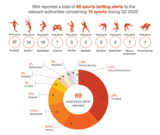 ibia image 2