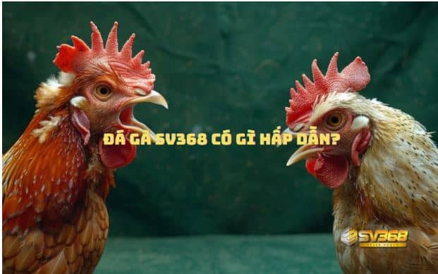 daga