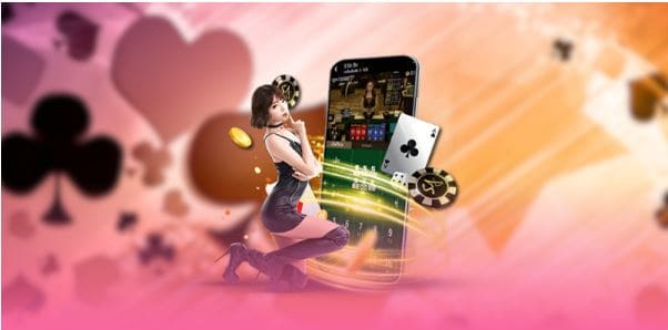CHOKBET casino overview and engaging betting experience - SolutionTipster