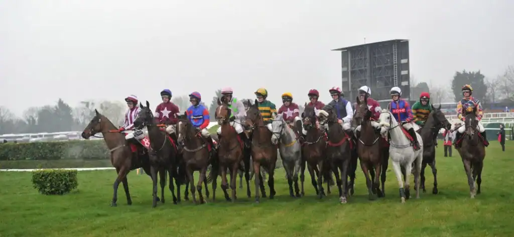 How to choose a racehorse to bet on