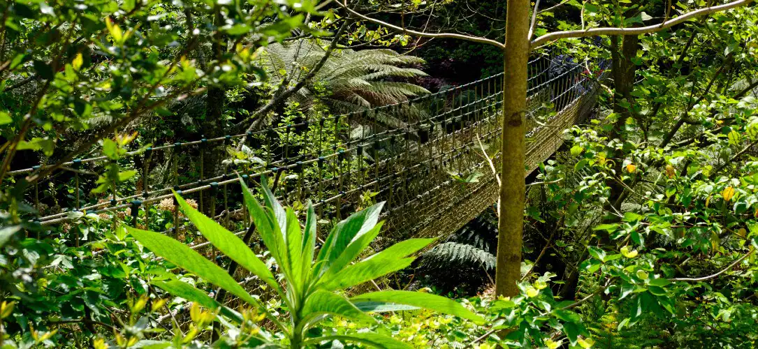 Latest I’m A Celebrity… Get Me Out Of Here betting odds