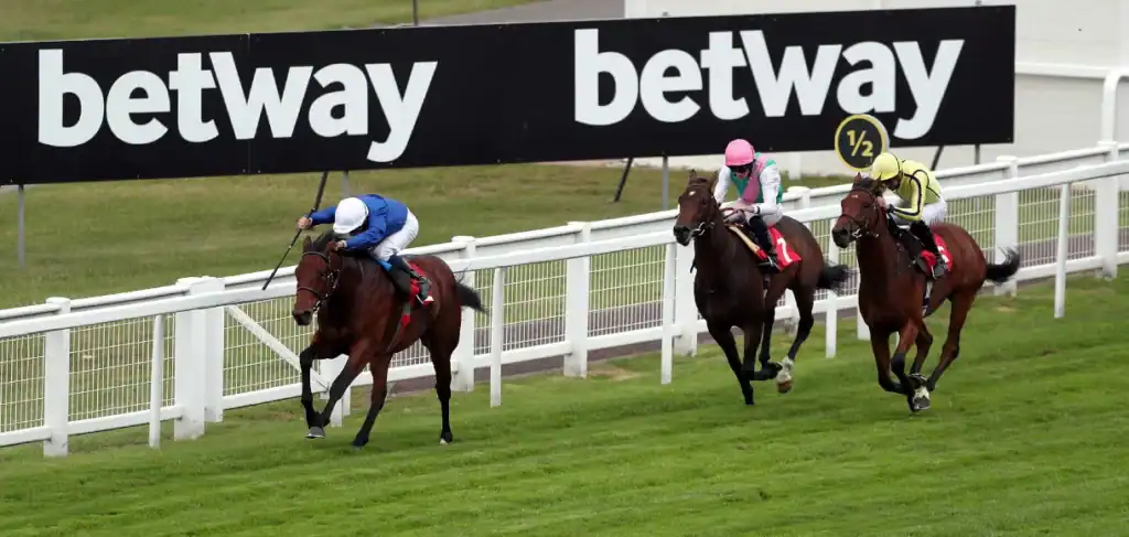 Tingle Creek Christmas Festival Preview