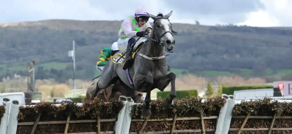 A history of Cheltenham Triumph Hurdle winners