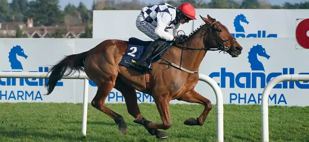 Ballyburn record and race profile